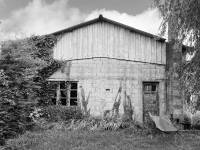 Elisabeth BIVILLE - COQUILLE